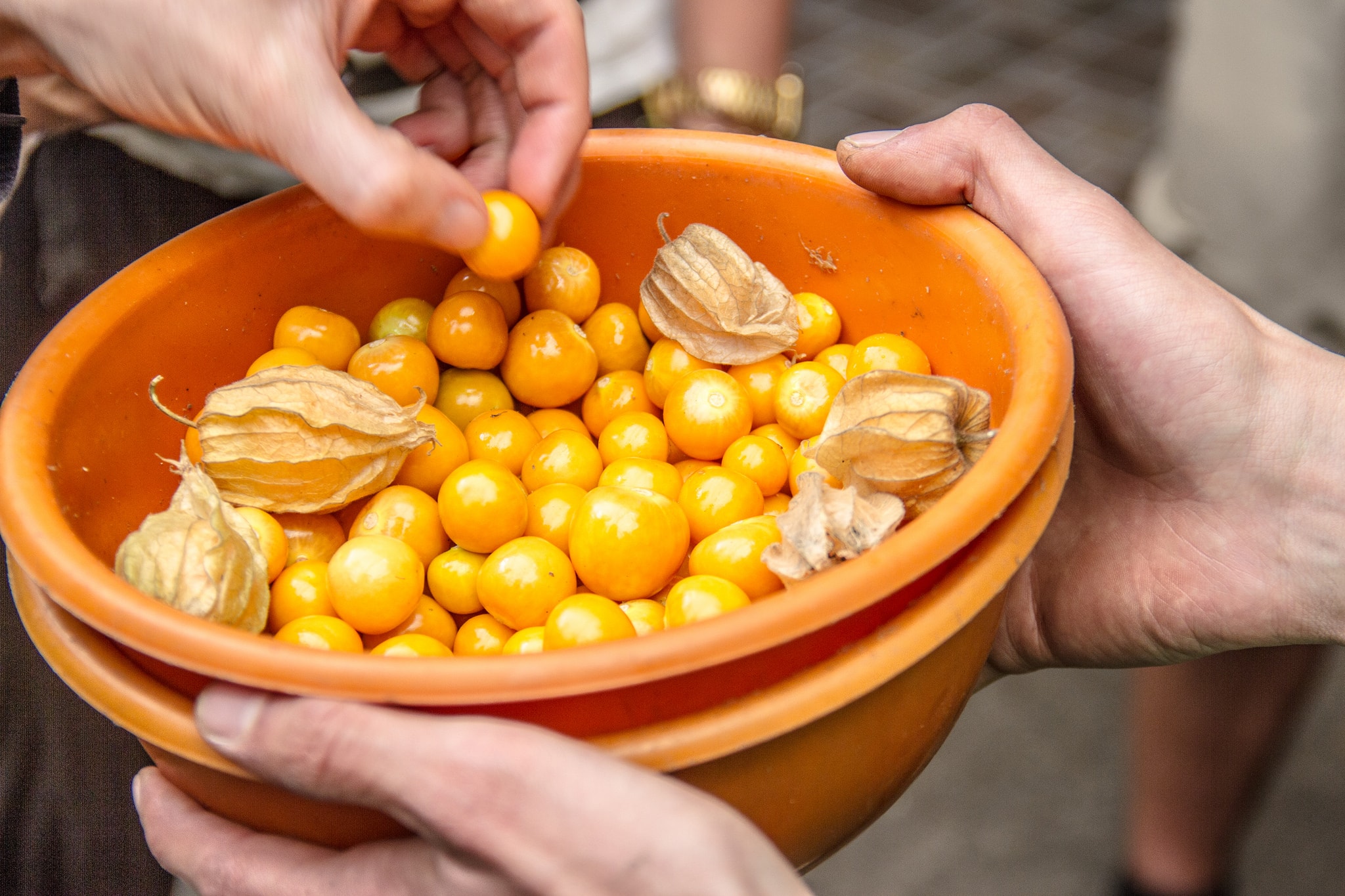 Colombia's Delicious Superfoods and Their Incredible Health Benefits