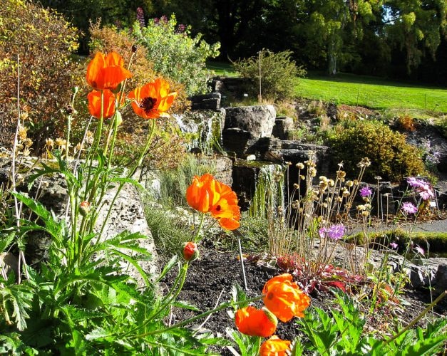 Oslo's Botanical Garden | © Jan Sølve Borlaug / Flickr