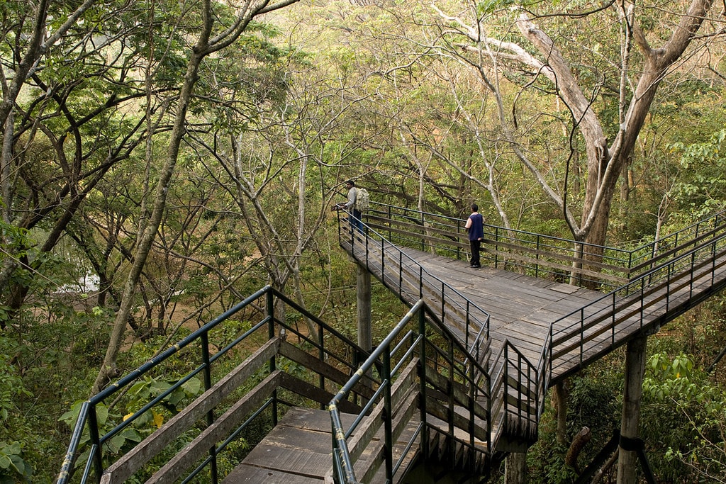 Thenmala | © Kerala Tourism / Flickr