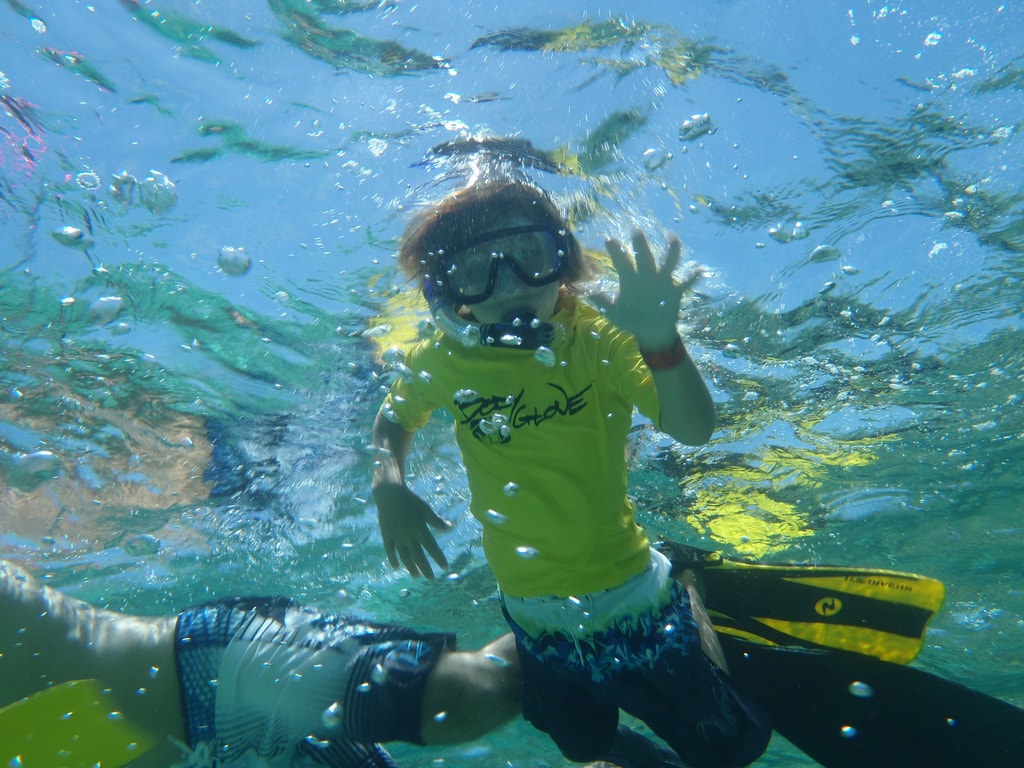 The Best Places to Snorkel in Florida