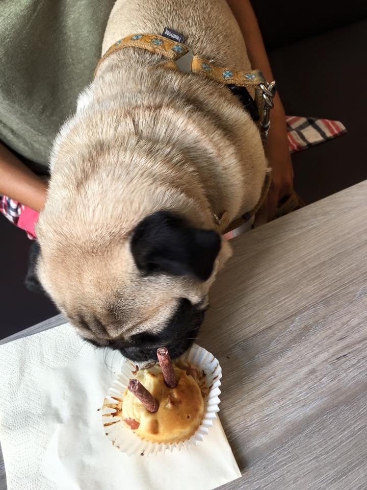 A muffin eating a muffin | Courtesy of Fants Favoritt