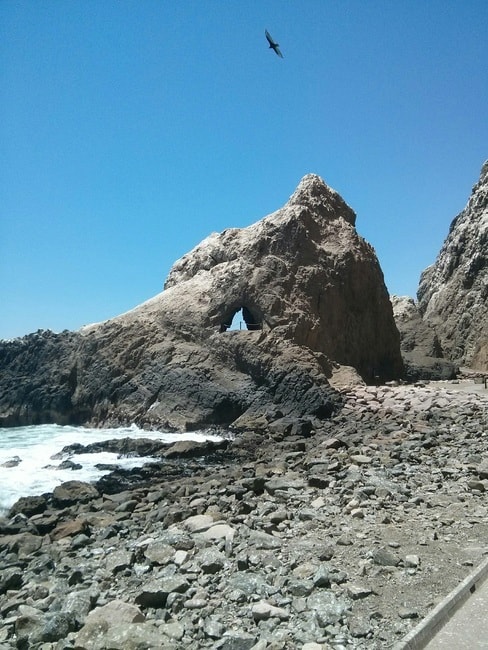 anzota