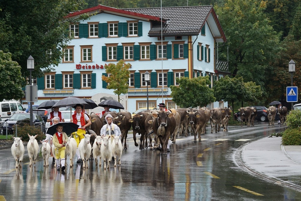 Appenzell | public domain / Pixabay