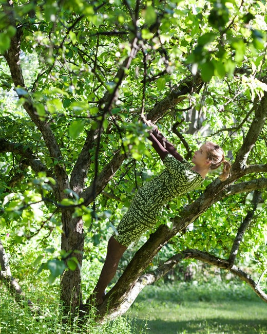 Apple_Tree_lowres