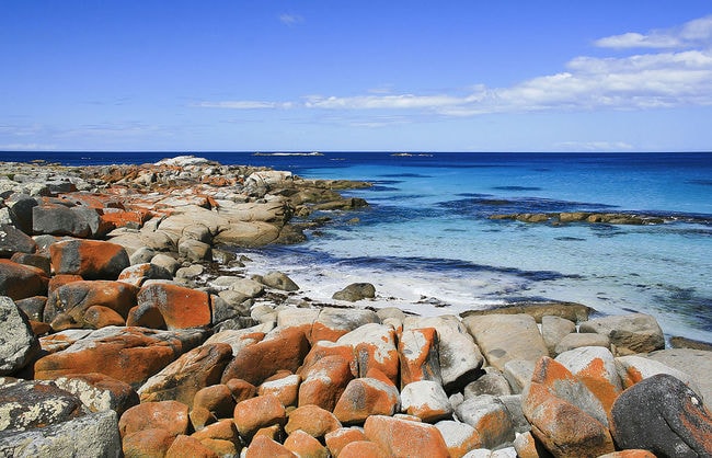 Bay_of_Fires-15