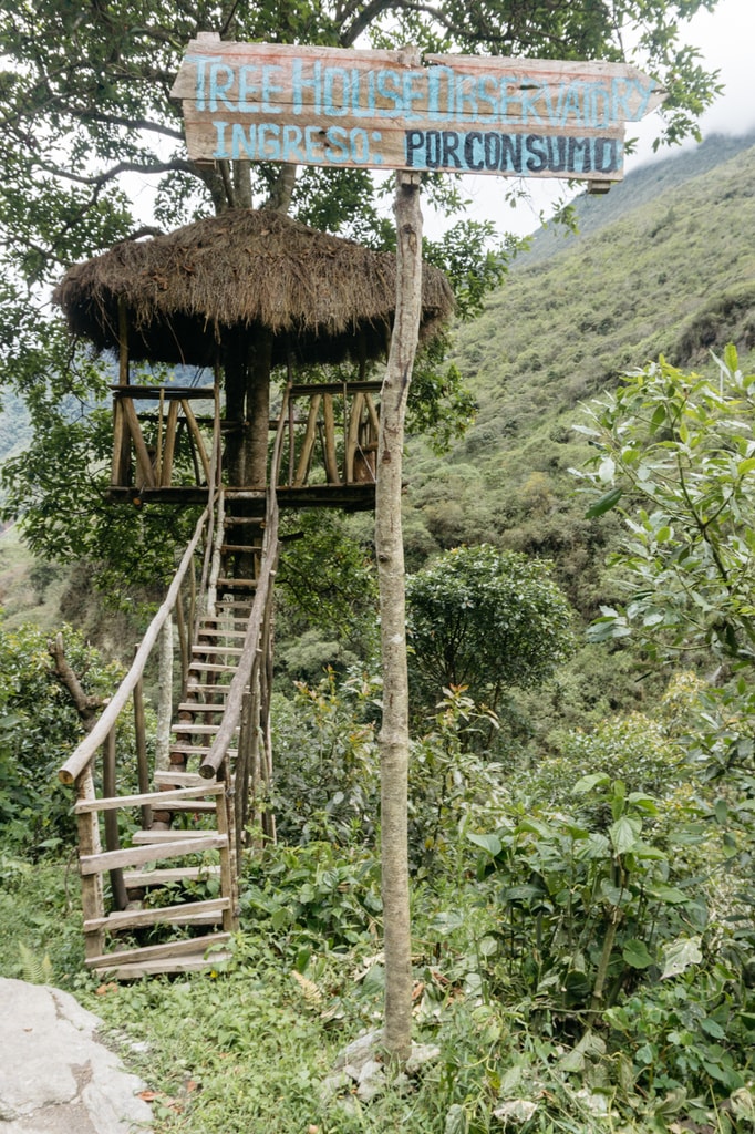 _DSC1113