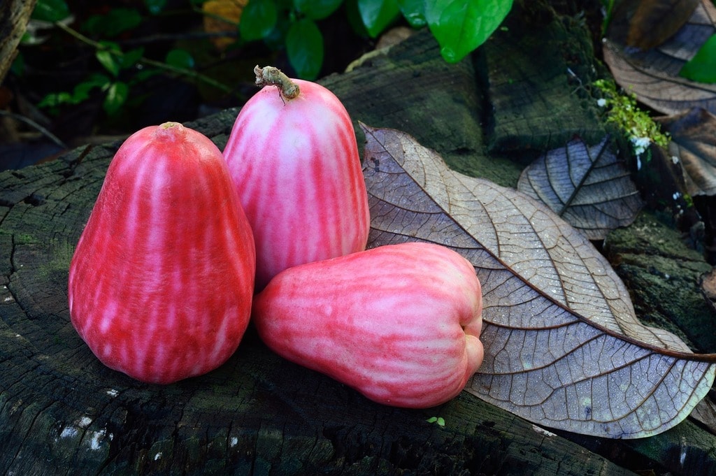 fruit-2429368_1280