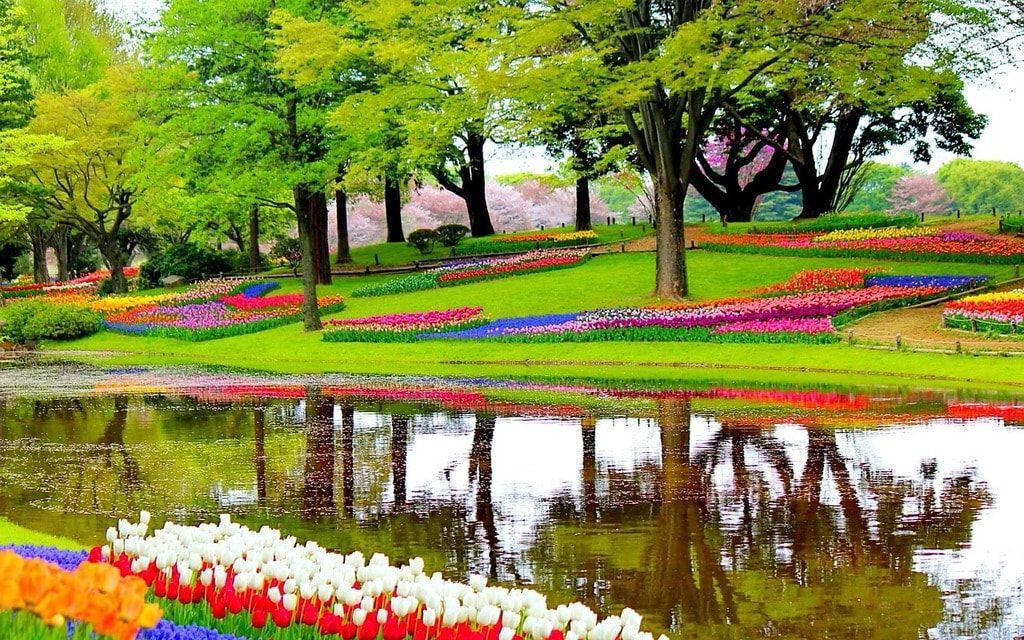 garden-1093681_1280 (5)