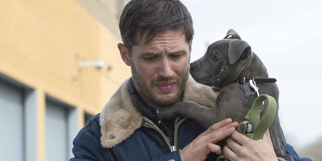 landscape_movies-the-drop-tom-hardy-puppy
