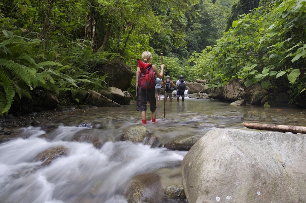 Selva Bananito Lodge, Karibik