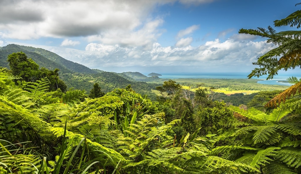 shutterstock_387419953