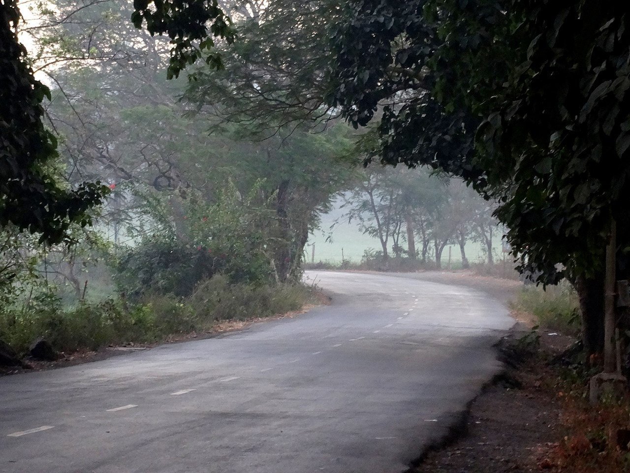 1280px-Road_inside_Aarey_Colony