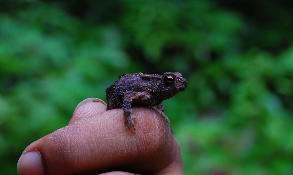 3814471707_2e15cf2af4_b