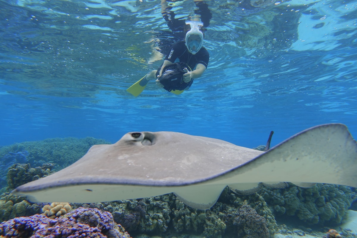 Sea scooter tour | © Moorea Water Games
