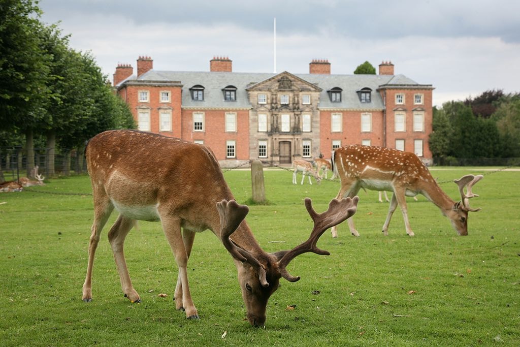 Dunham Massey
