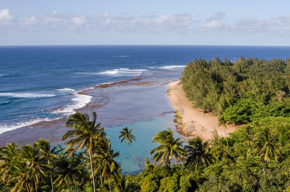 Kuhio coast