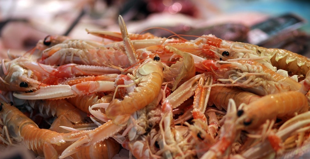prawn-662566_1920