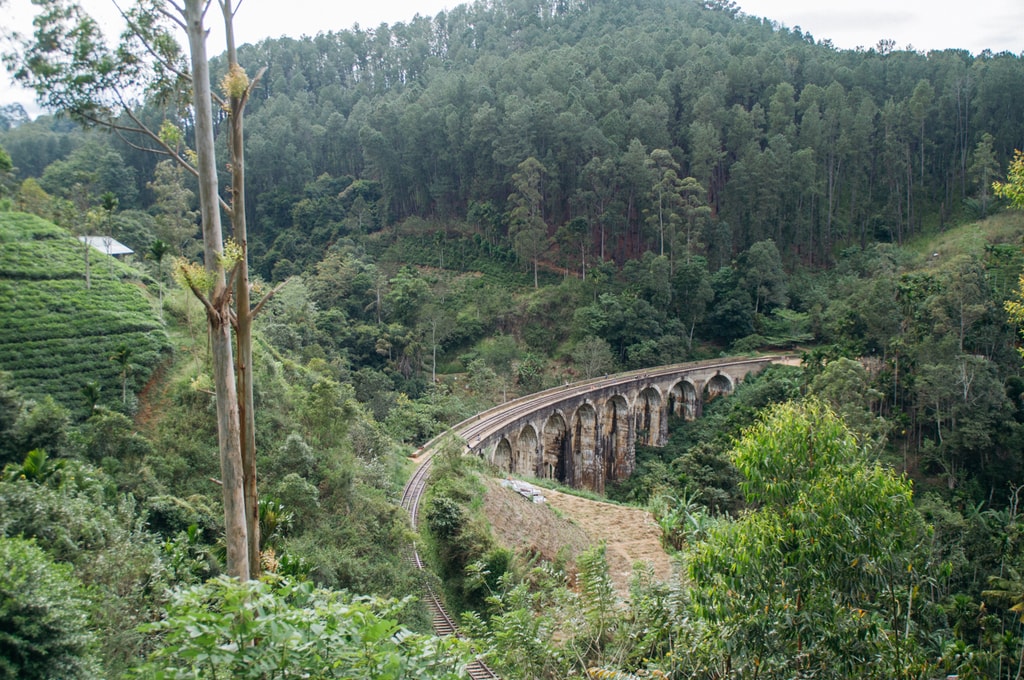 RAW SCTP0071-CASTILLO-SRI LANKA-ELLA-NINE ARCH BRIDGE_19
