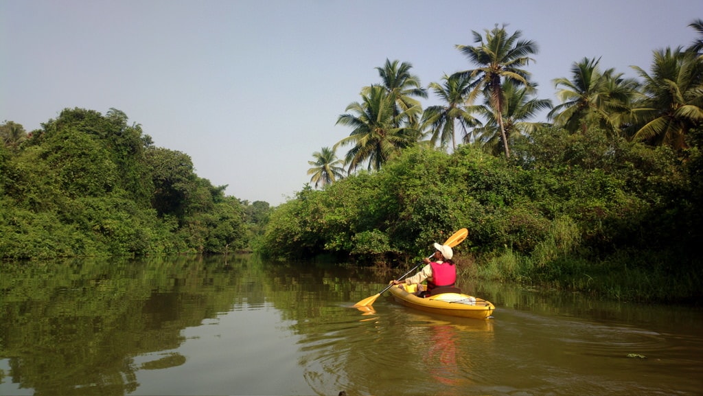 Salbackwaters