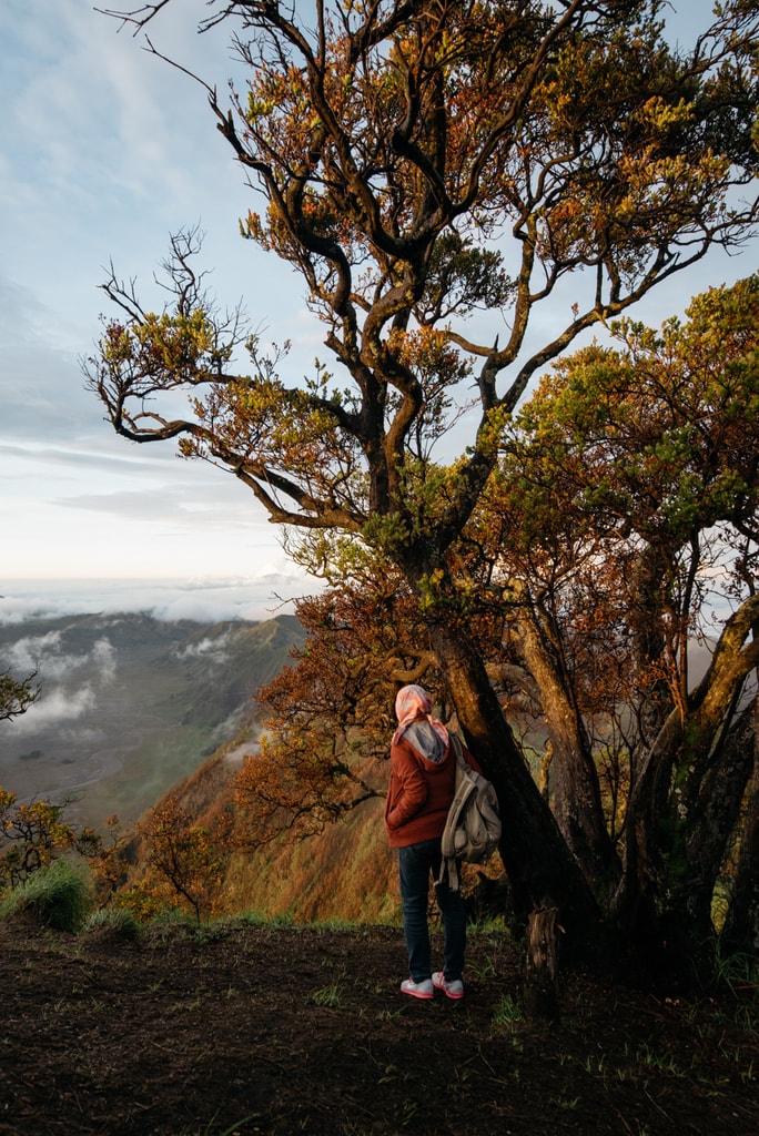 SCTP0064-Bagus-Mount Bromo and Jodipan00053