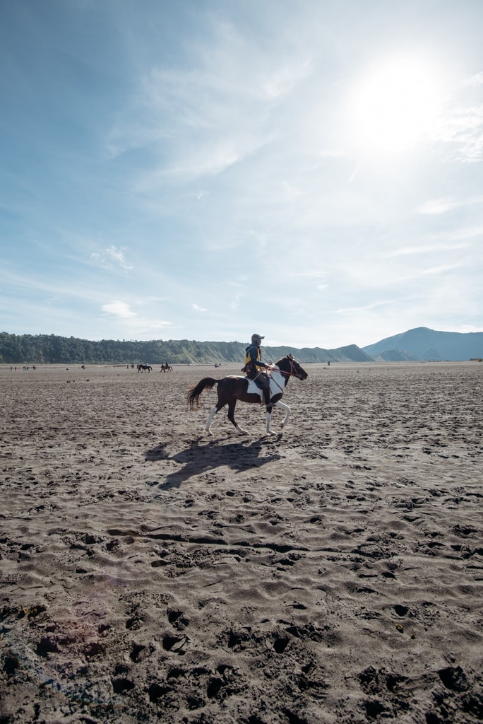 SCTP0064-Bagus-Mount Bromo and Jodipan00139