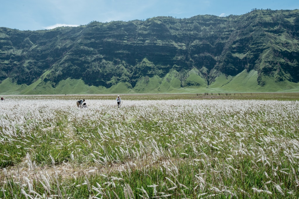 SCTP0064-Bagus-Mount Bromo and Jodipan00309