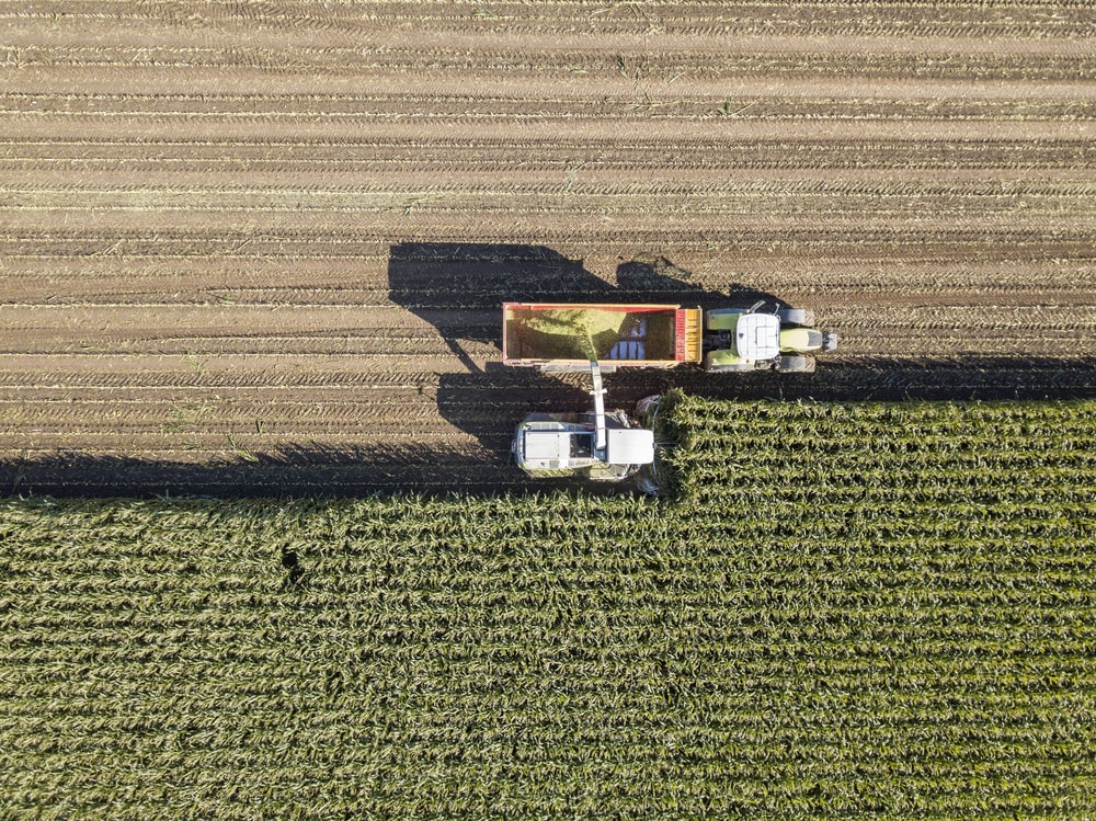 Machines harvesting corn | © Philip Lange/Shutterstock