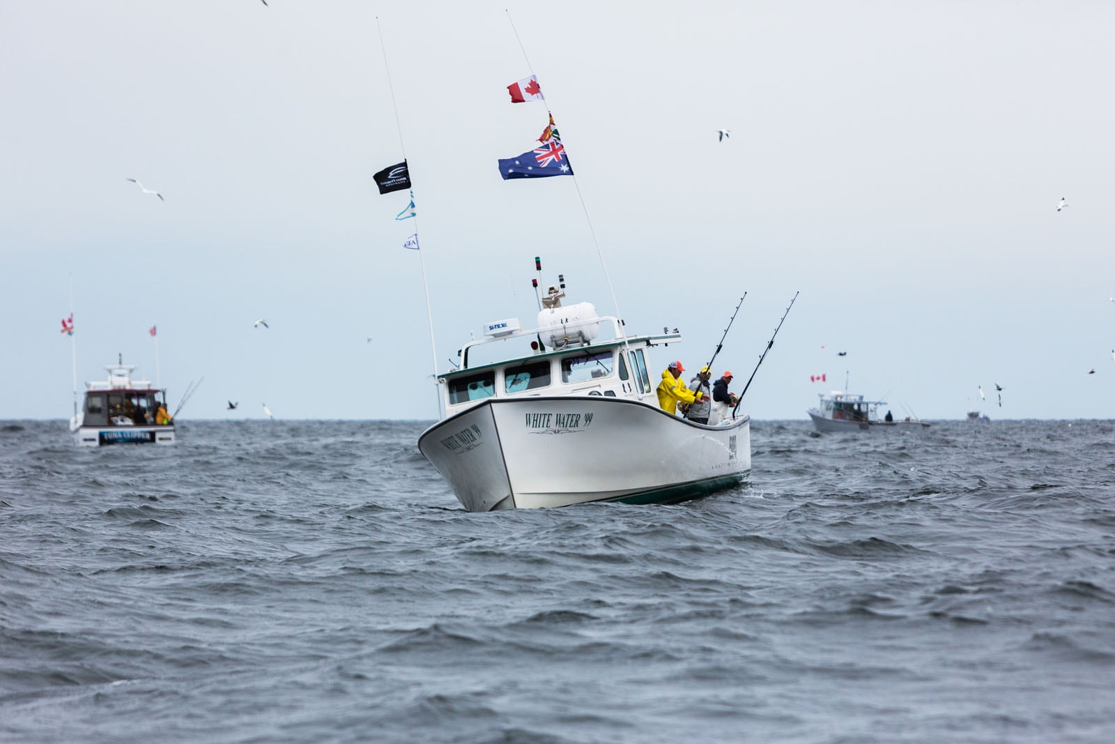 ©Tourism PEI : Berni Wood