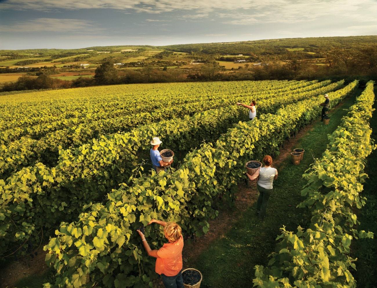 Annapolis Valley Nova Scotia Tourism George Simhoni