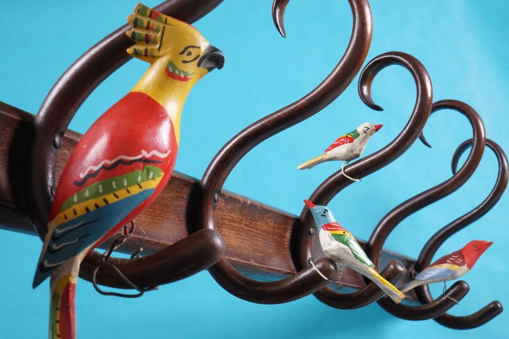 birds