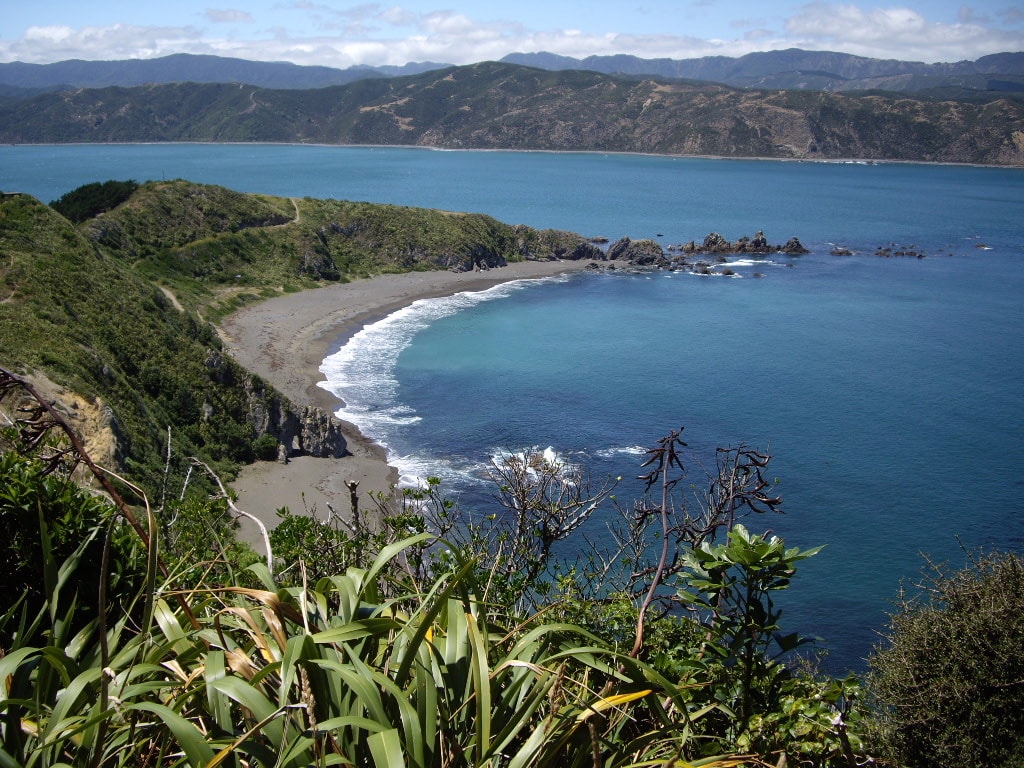 The Best Nudist Beaches in New Zealand
