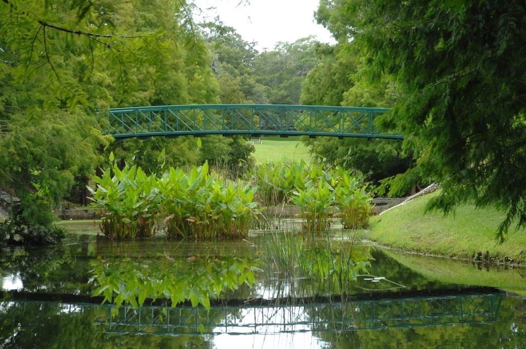 bridgeGC