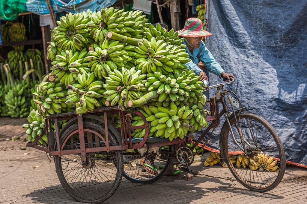 Bunches-of-Bananas-in-a-Trishaw-Yangon