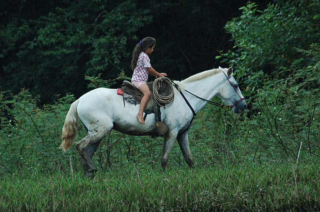 The Best Places to Go Horseback Riding in Costa Rica