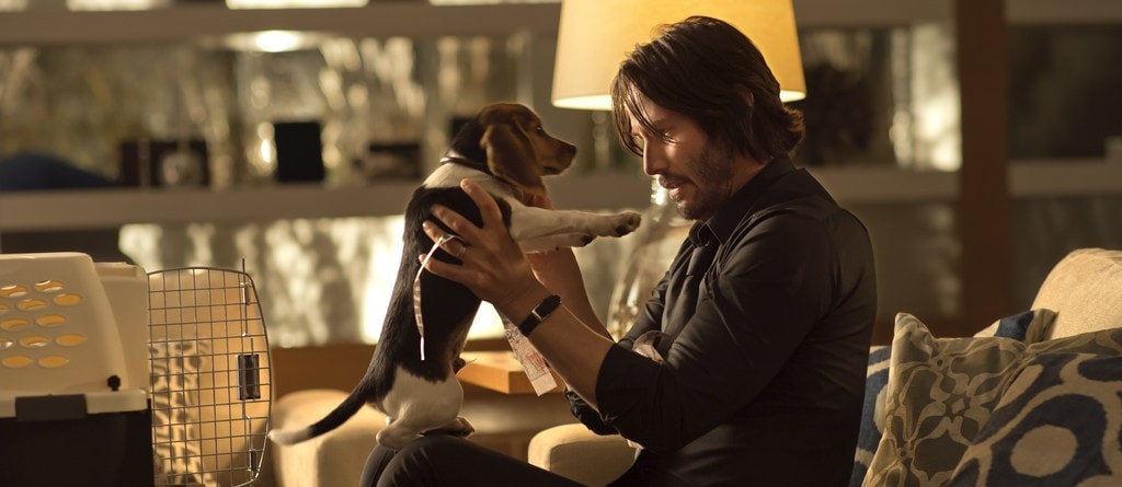 Keanu Reeves and his Puppy in John Wick