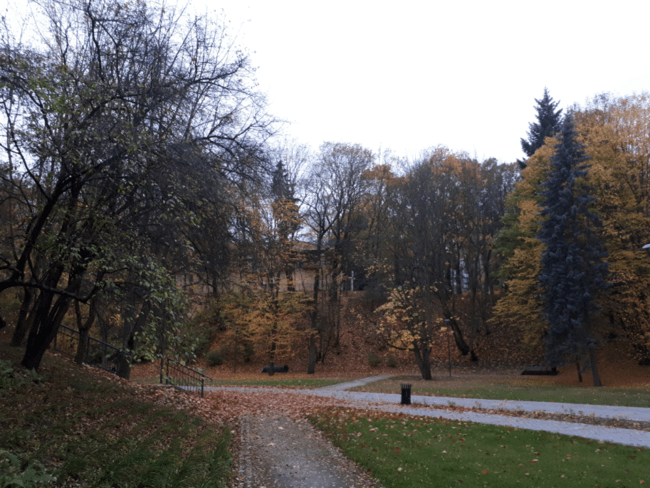 Olsztyn2