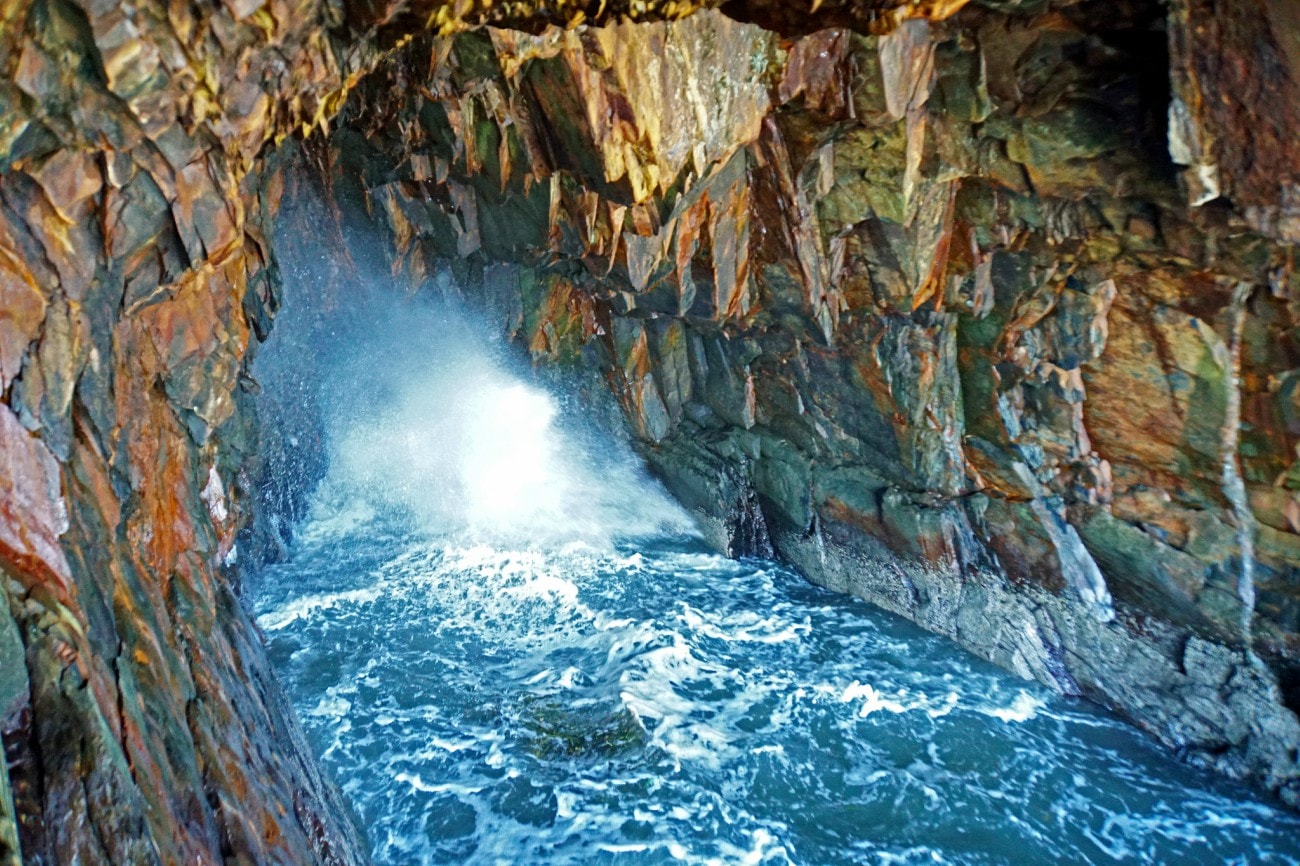 Ovens Natural Park Dennis Jarvis Flickr