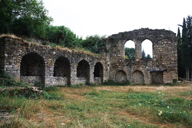Ruins_of_Ikalto_Academy