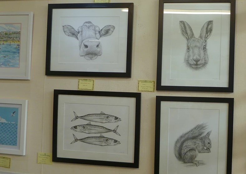 shanklin gallery2