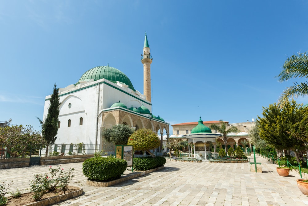 shutterstock_571478068