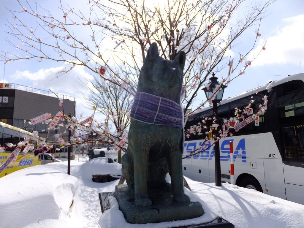 Statue_of_Hachiko_at_Odate_Station-02