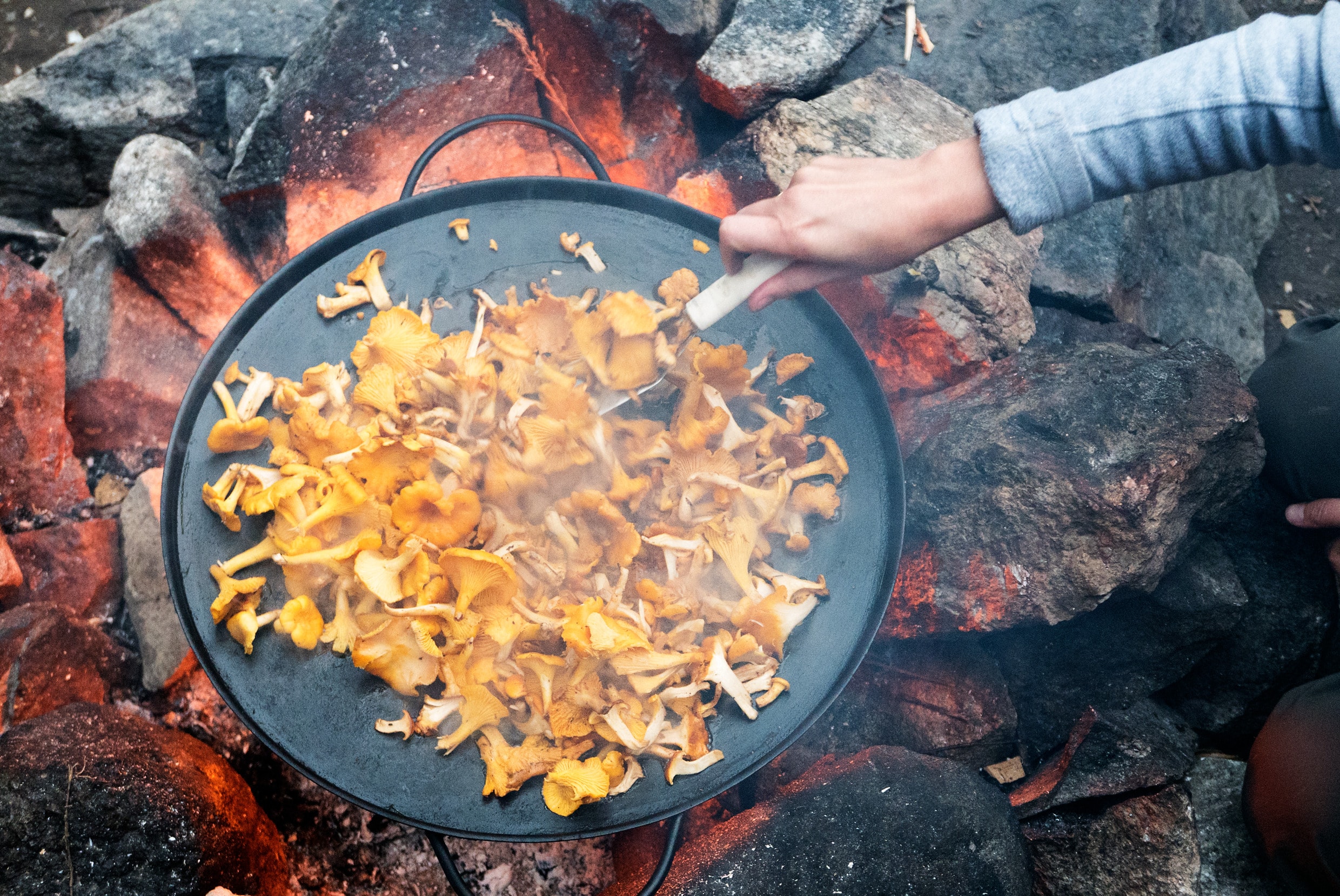 Inspiring Cuisine Idéale Rock Forest Inspiring Cuisine Idéale Rock Forest
