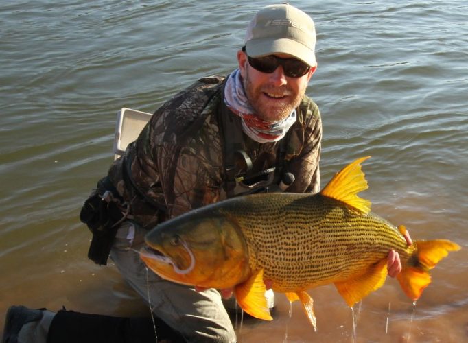 Dorado fish