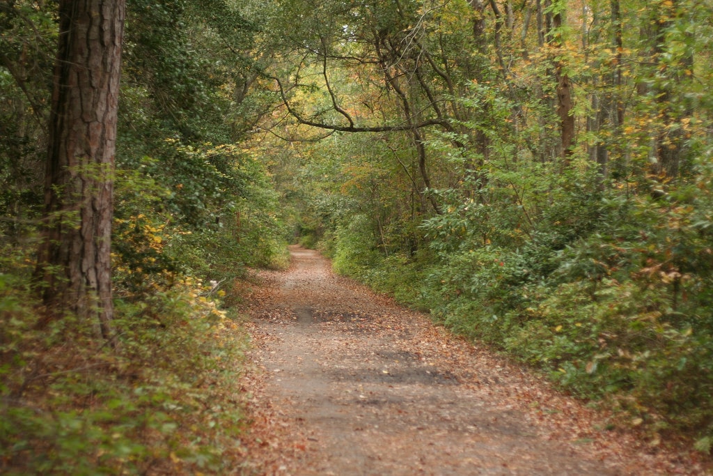 10 Scenic Places to Go Camping in Virginia