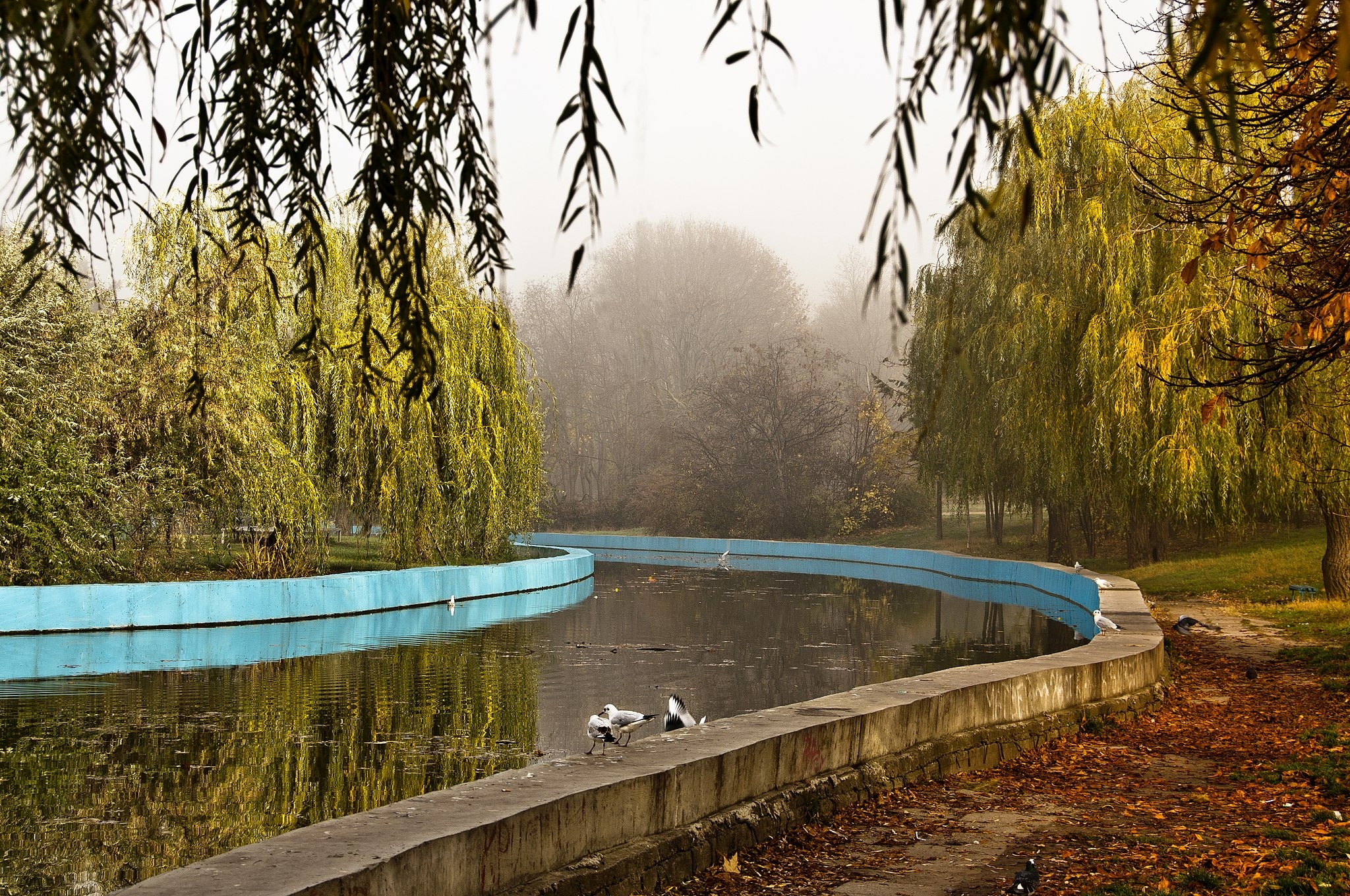 A Complete Neighbourhood Guide to Odessa