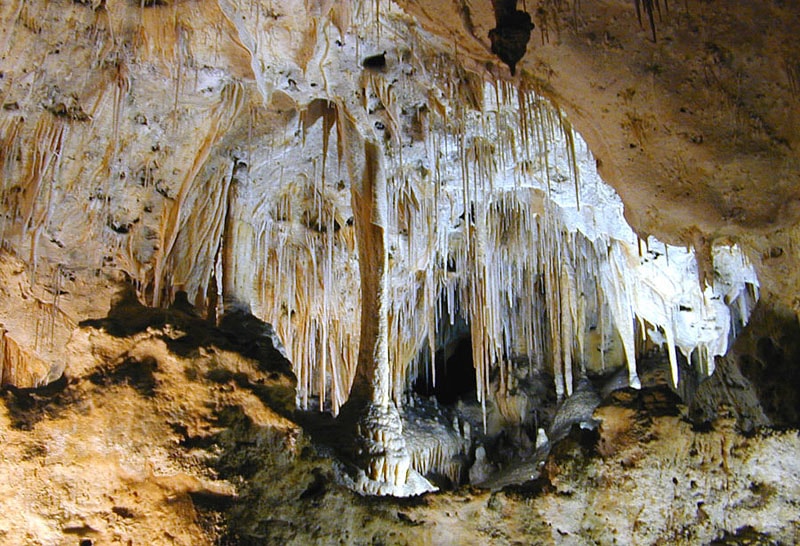carlsbad caves