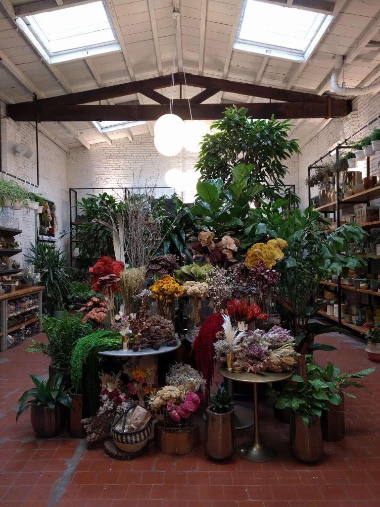 Where to Buy Chic Indoor Plants (and Trees) in Brooklyn