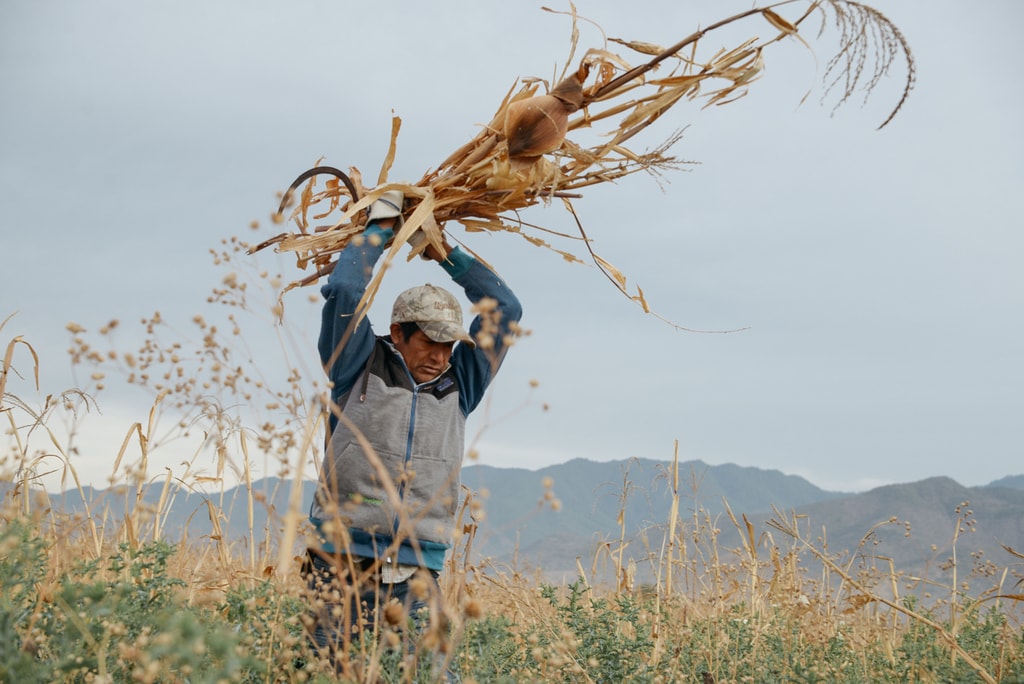 harvest edit 2018 (104 of 142)