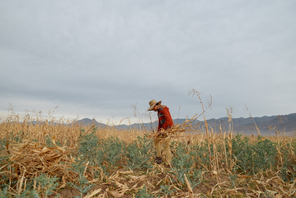 harvest edit 2018 (108 of 142)