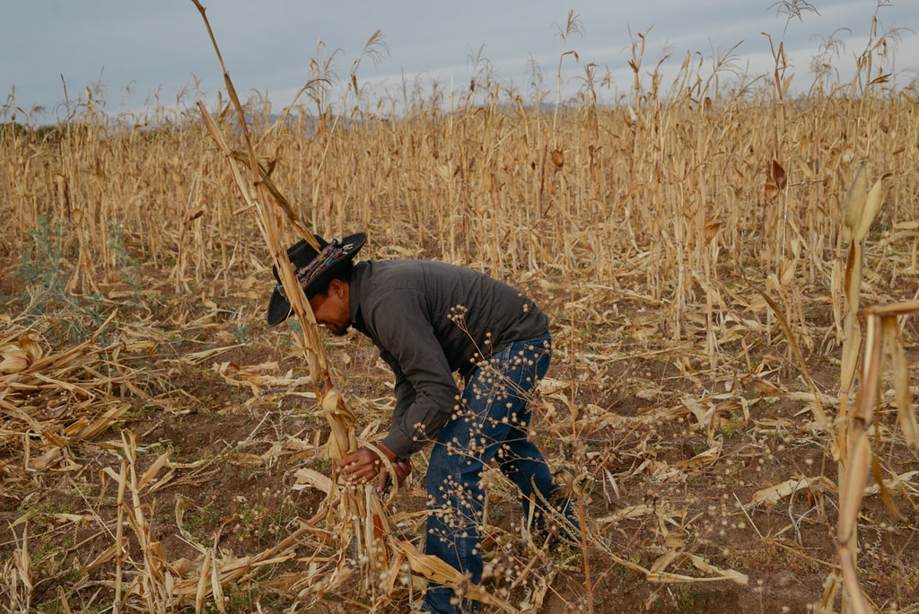 harvest edit 2018 (111 of 142)